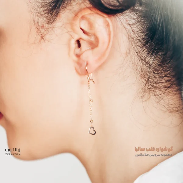 سرویس قلبی سبک